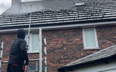 The Benefits of Roof Cleaning