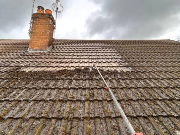 Prevent Moss and Algae Growth