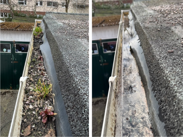 Blocked gutter before professional cleaning